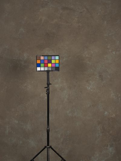 Beige Hand Painted Backdrop Mid Text M Size 15470 Ton