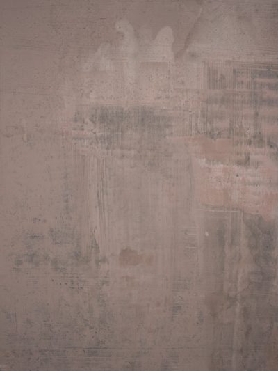 Grey Rose Hand Painted Backdrop Mid Text ST Size 15507