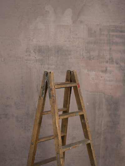 Grey Rose Hand Painted Backdrop Mid Text ST Size 15507a