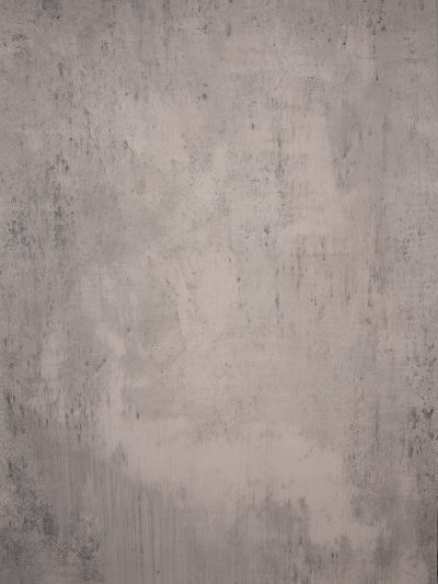 Grey Rose Hand Painted Backdrop Mid Text ST Size 15514