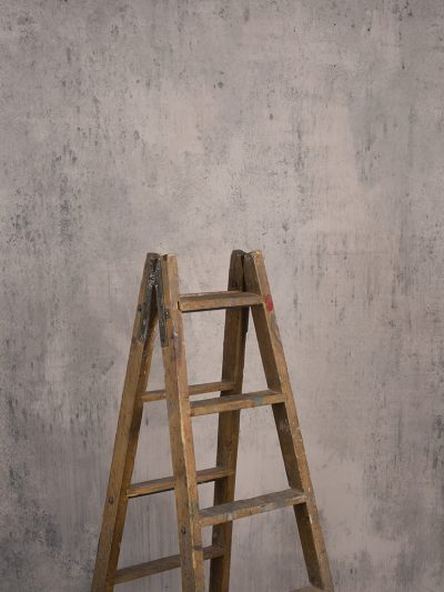 Grey Rose Hand Painted Backdrop Mid Text ST Size 15514a