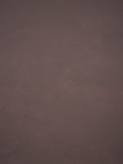 Rose Grey Hand Painted Backdrop Low Text ST Size 15503