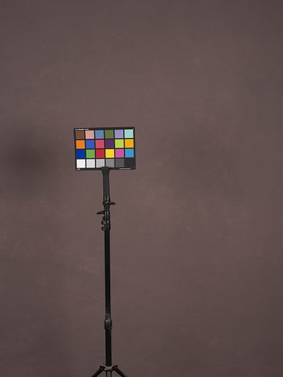 Rose Grey Hand Painted Backdrop Low Text ST Size 15503 Ton